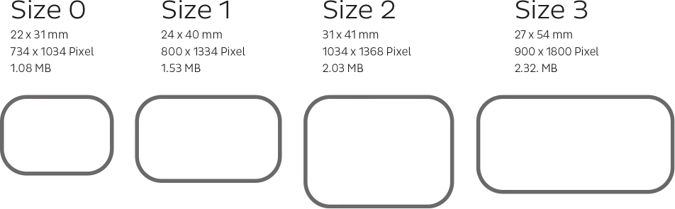 Scan Exam Size Graphic 1.png